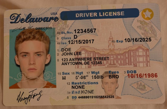Delaware Fake Driver License