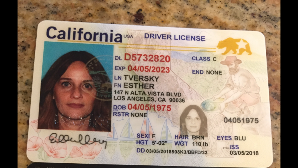 California Fake Drivers License