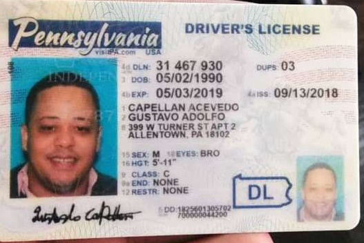 Pennsylvania Fake Drivers License