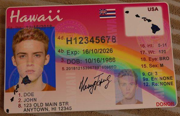 Hawaii Fake Drivers license