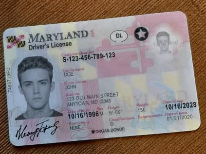 Maryland Fake Drivers License