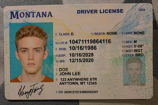 Montana Fake Drivers license