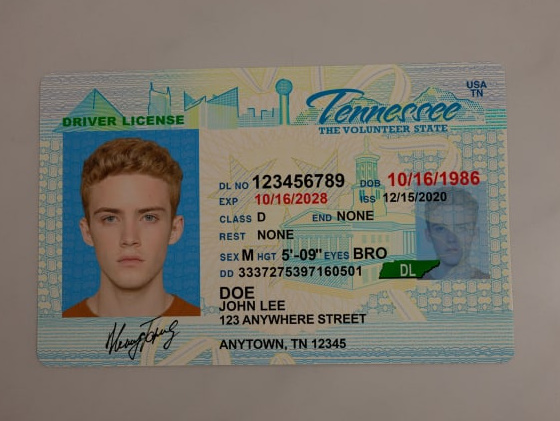 Tennessee Fake Drivers License
