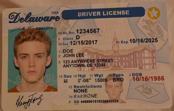 Delaware Fake Drivers License