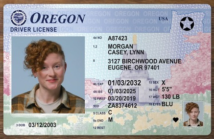 Oregon Fake Drivers license