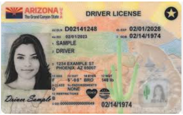 Arizona Fake Drivers License